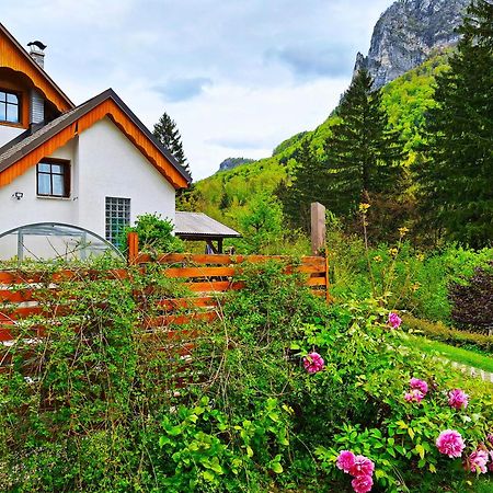 Ingreen House Bohinjska Bela Ngoại thất bức ảnh