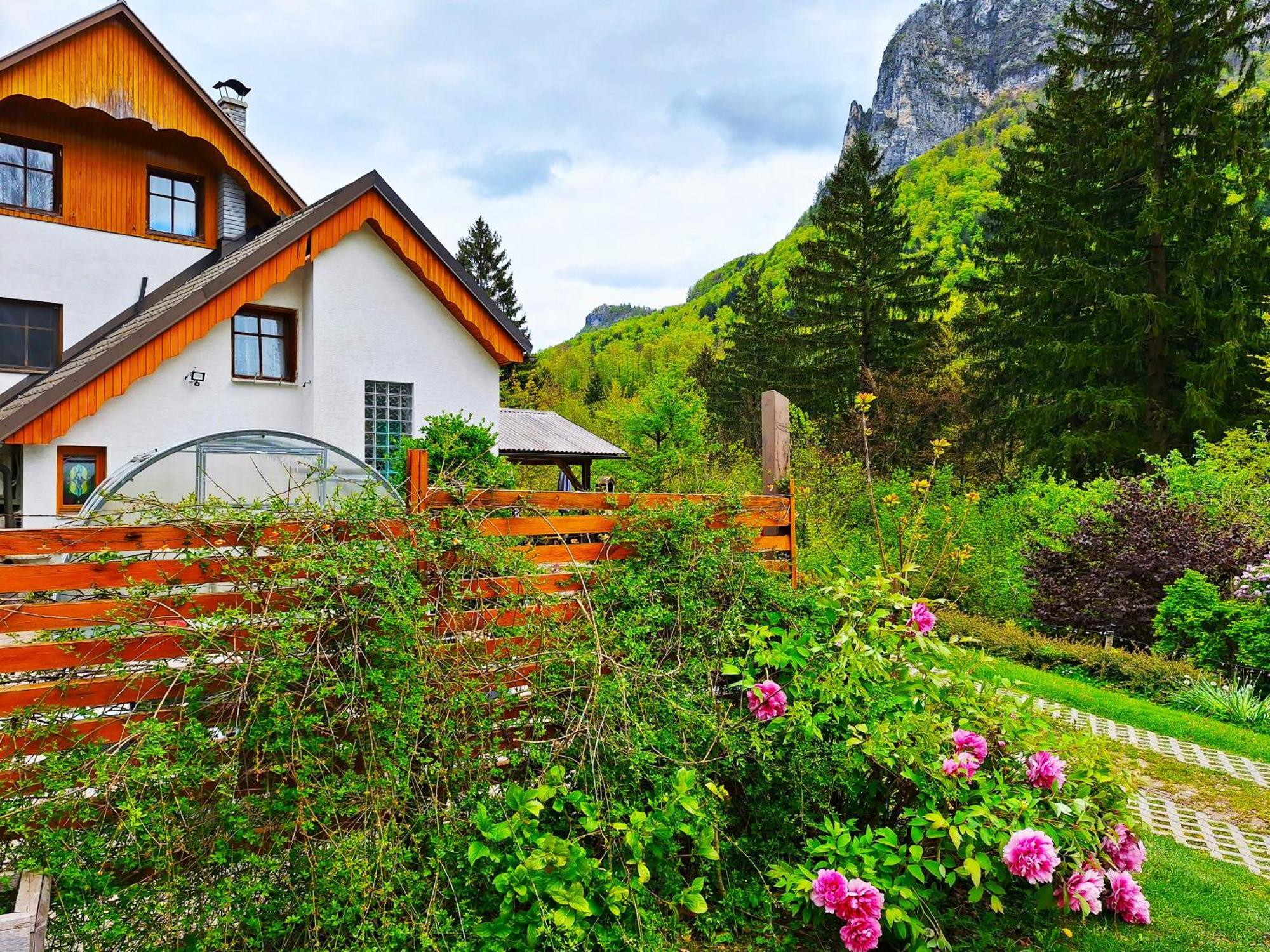 Ingreen House Bohinjska Bela Ngoại thất bức ảnh