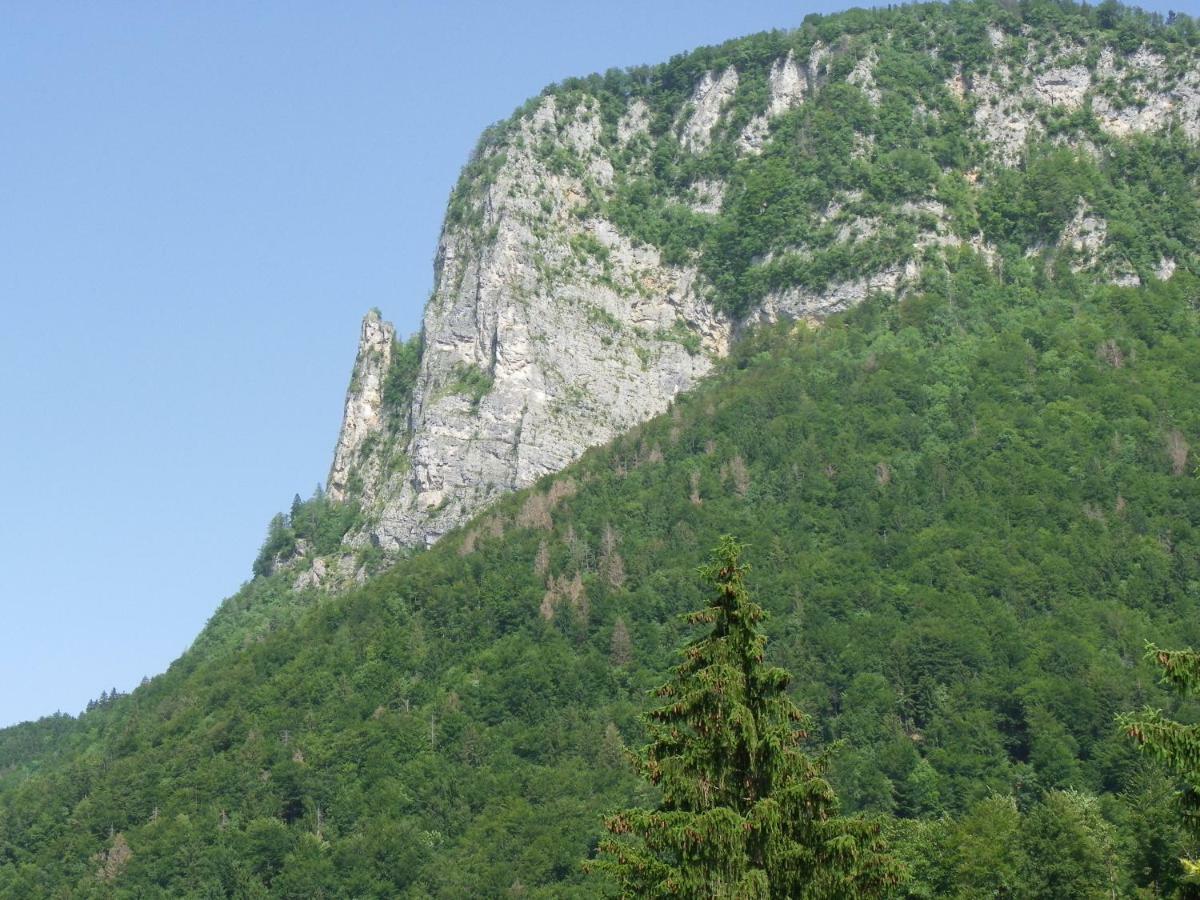 Ingreen House Bohinjska Bela Ngoại thất bức ảnh